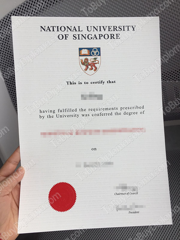 伪造的新加坡国立大学文凭, 我们提供国大假学位